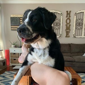 Meet your Posher, Jamie